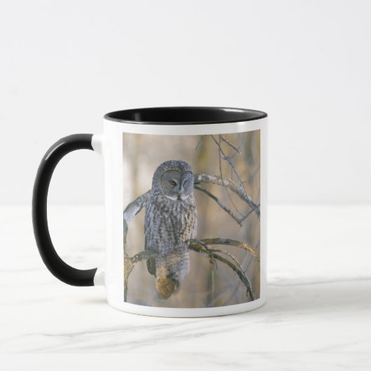 Mug Canada, Québec. Grand-duc perché sur un arbre (Gauche)