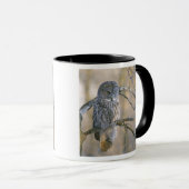 Mug Canada, Québec. Grand-duc perché sur un arbre (Devant droit)