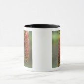 Mug Canada, Yukon, cônes d'épinette noire (Centre)