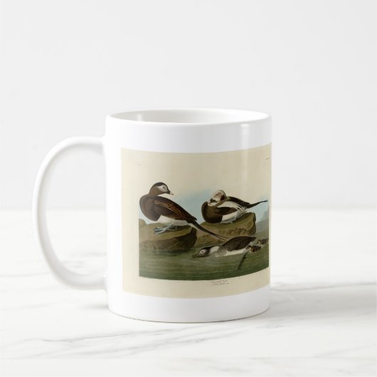 Mug Canard à queue longue - d'Audubon's Birds of Ameri (Gauche)
