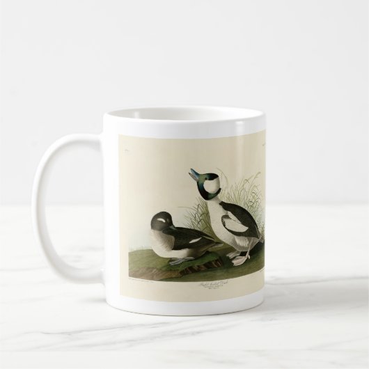 Mug Canard à tête de buffle des oiseaux d'Amérique d'A (Gauche)