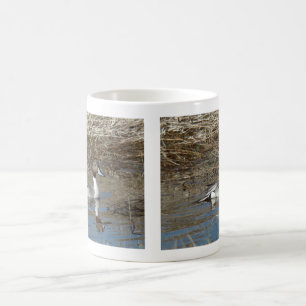 Mug Canard colvert B5 mâle