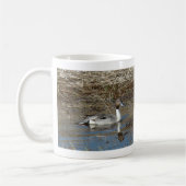 Mug Canard colvert B5 mâle (Gauche)