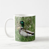 Mug Canard de B55 Mallard Drake Greenhead dans l'herbe (Gauche)