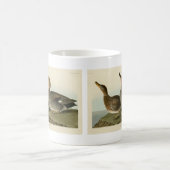 Mug Canard de Gadwall - Les oiseaux d'Amérique de John (Centre)