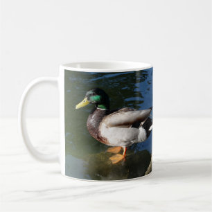 Mug Canard de Mallard