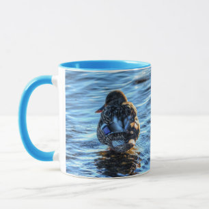 Mug Canard de Mallard dans la rivière Winter - Photo F