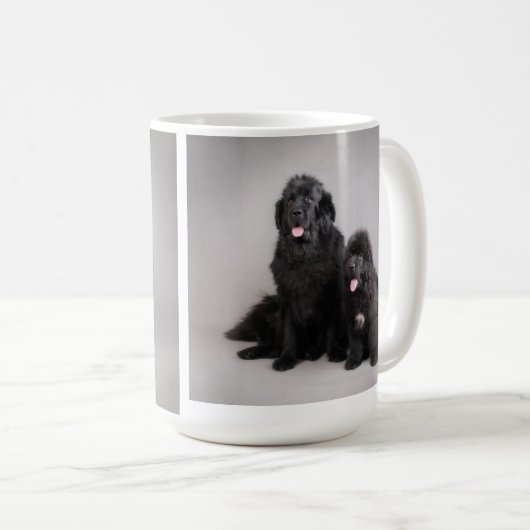 Mug Canard de Terre-Neuve (Devant droit)