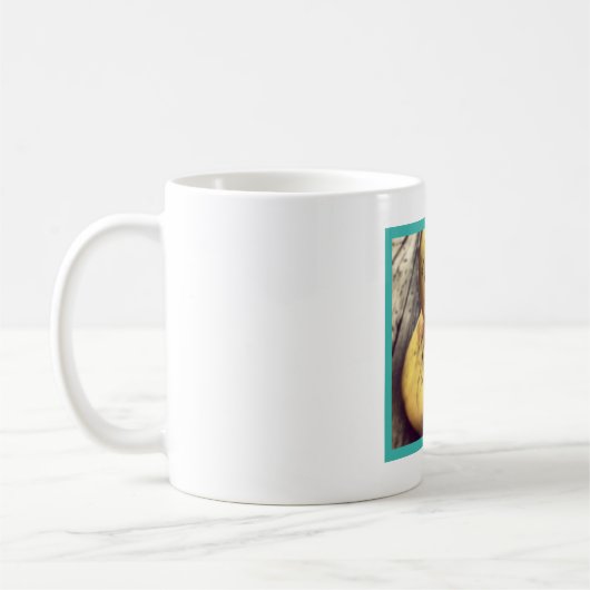 Mug Canard en caoutchouc sale assis sur un pont en boi (Gauche)
