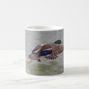 Mug canard en vol