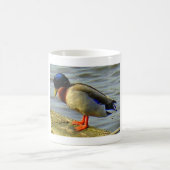 Mug Canard endormi (Centre)