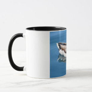 Mug Canard mâle