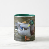 Mug Canard mâle Mallard dans la boue de Clear Creek (Centre)