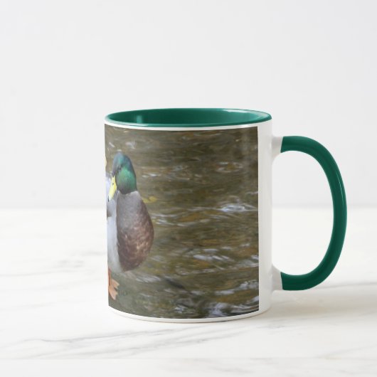 Mug Canard mâle Mallard dans la boue de Clear Creek (Droite)