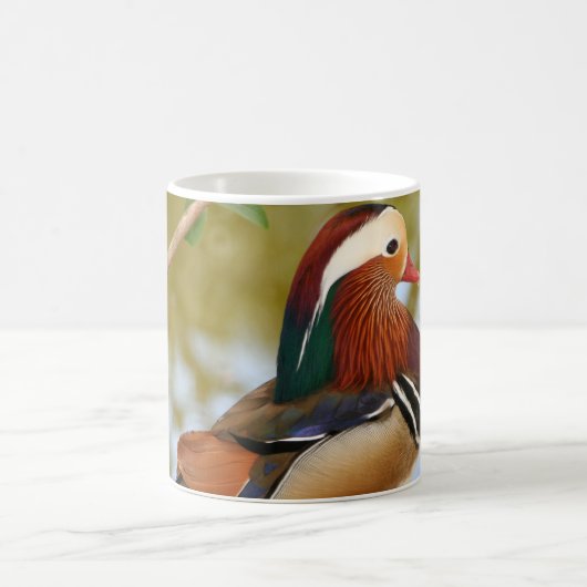 Mug Canard mandarin (Centre)