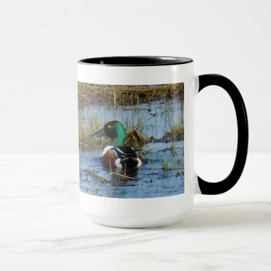 Mug Canard souchet mâle B25 (Droite)