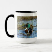 Mug Canard souchet mâle B25 (Gauche)