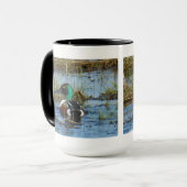 Mug Canard souchet mâle B25 (Devant gauche)
