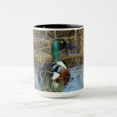 Mug Canard souchet mâle B26 (Centre)