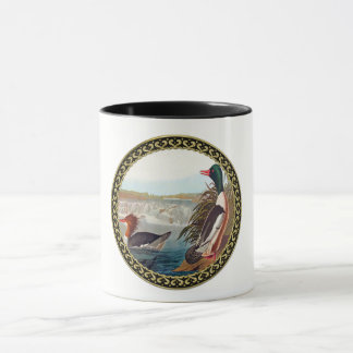 Mug Canards colverts américains dans une rivière nagea