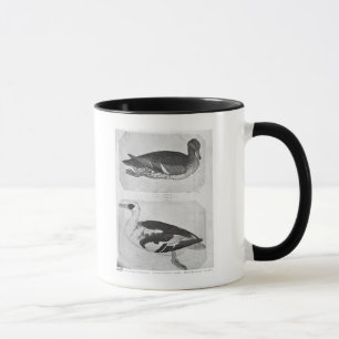 Mug Canards, le de l'album de Vallardi
