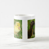 Mug Canettes (Centre)