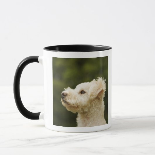 Mug Caniche 2 (blancs) (Gauche)