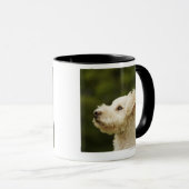 Mug Caniche 2 (blancs) (Devant droit)