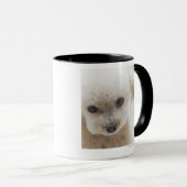 Mug caniche de jouet (Devant droit)