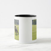 Mug Caniche jouant le frisbee (Centre)