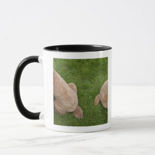 Mug caniche standard