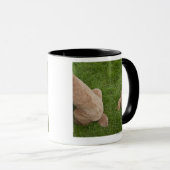 Mug caniche standard (Devant droit)