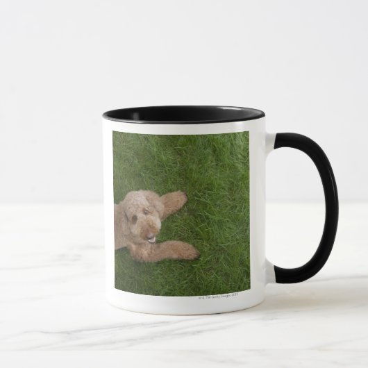 Mug caniche standard 2 (Droite)