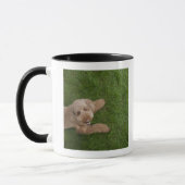 Mug caniche standard 2 (Gauche)