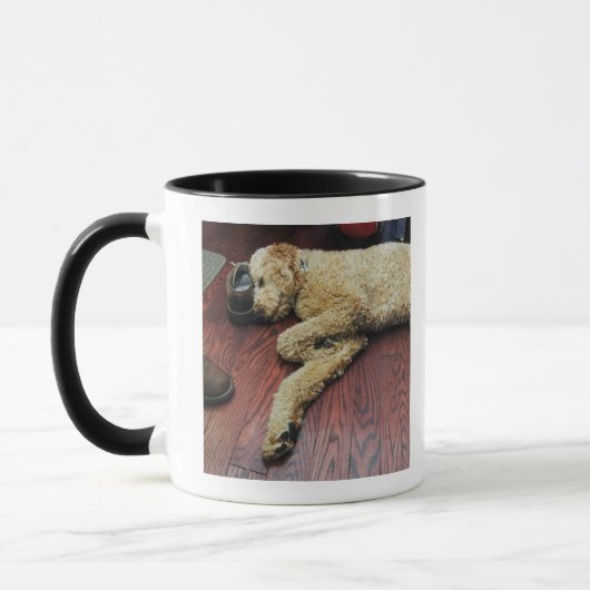 Mug Caniche standard dormant sur le plancher (Gauche)