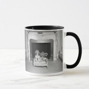 Mug Caniches miniatures se reposant devant la cheminé