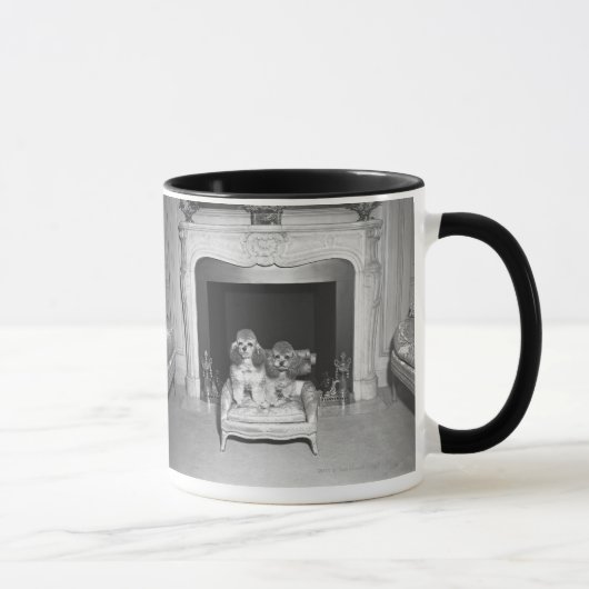 Mug Caniches miniatures se reposant devant la cheminée (Droite)