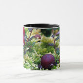 Mug Canneberges (Centre)