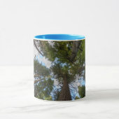 Mug canopée de sapin de Douglas (Centre)