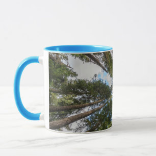 Mug canopée de sapin de Douglas