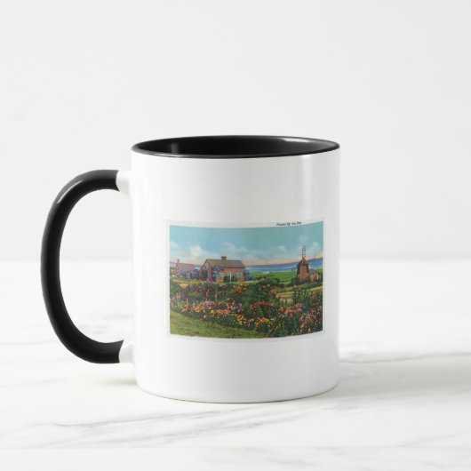 Mug Cape Cod, MassachusettsVue des maisons par (Gauche)