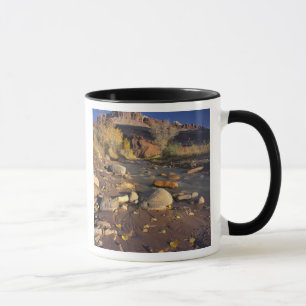 Mug CAPITOL REEF NATIONAL PARK, UT, États-Unis, Cotton
