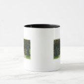 Mug Capitol Steps Vue du parc national (Centre)