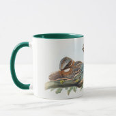 Mug Caprimulgus Ruficollis (Gauche)