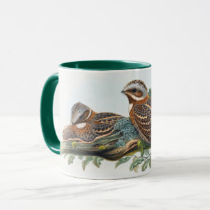 Mug Caprimulgus Ruficollis