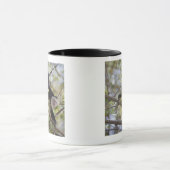 Mug Capucin au visage pâle, Guanacaste, Costa Rica (Centre)