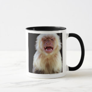 Mug capucin Blanc-throated (capucinus de Cebus)