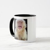 Mug capucin Blanc-throated (capucinus de Cebus) (Devant gauche)