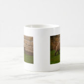Mug capybara (Centre)