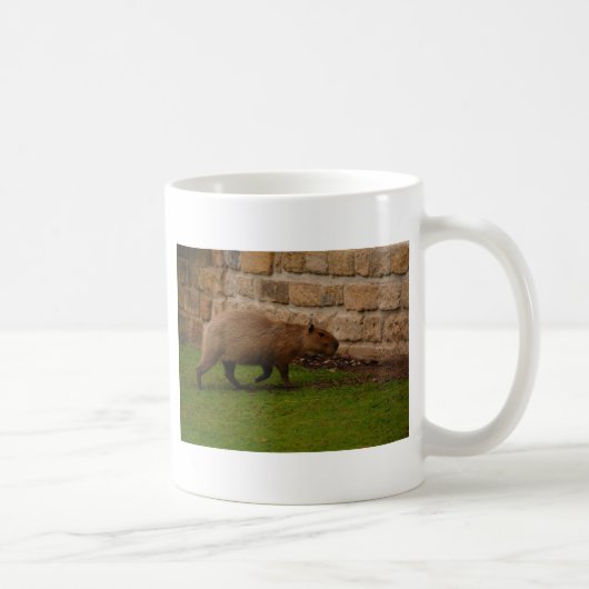 Mug capybara (Droite)